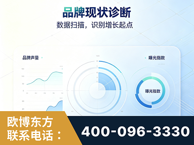 东港-品牌现状诊断